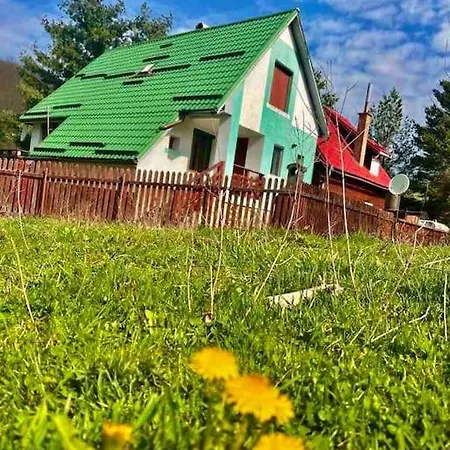 Holiday home Casa Verde Valiug