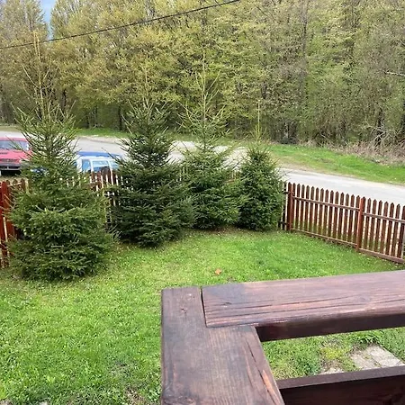 Holiday home Casa Verde Valiug